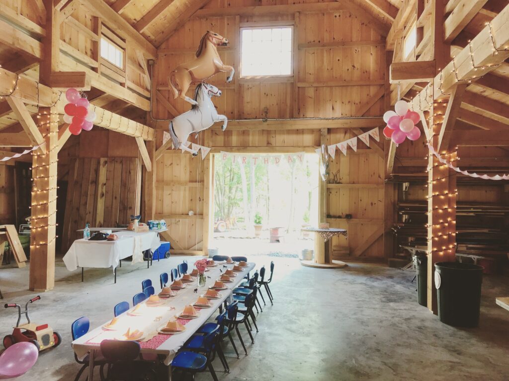 little girl horse party in barn