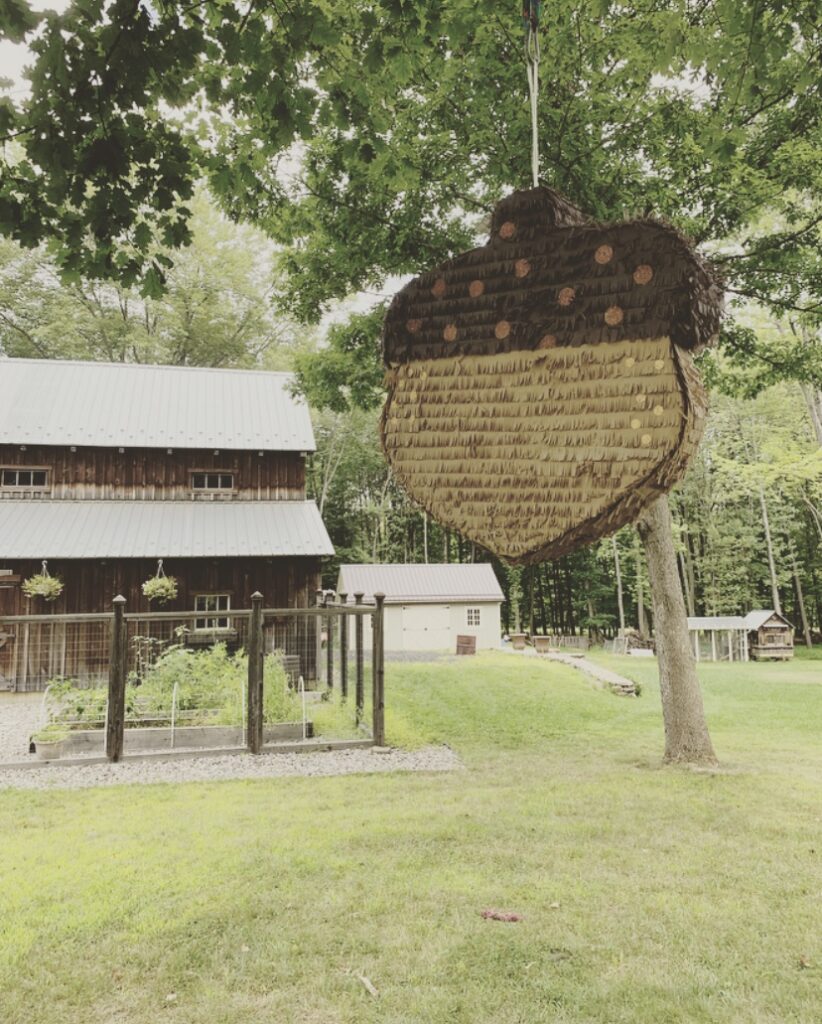 Woodland Tea party acorn pinata 