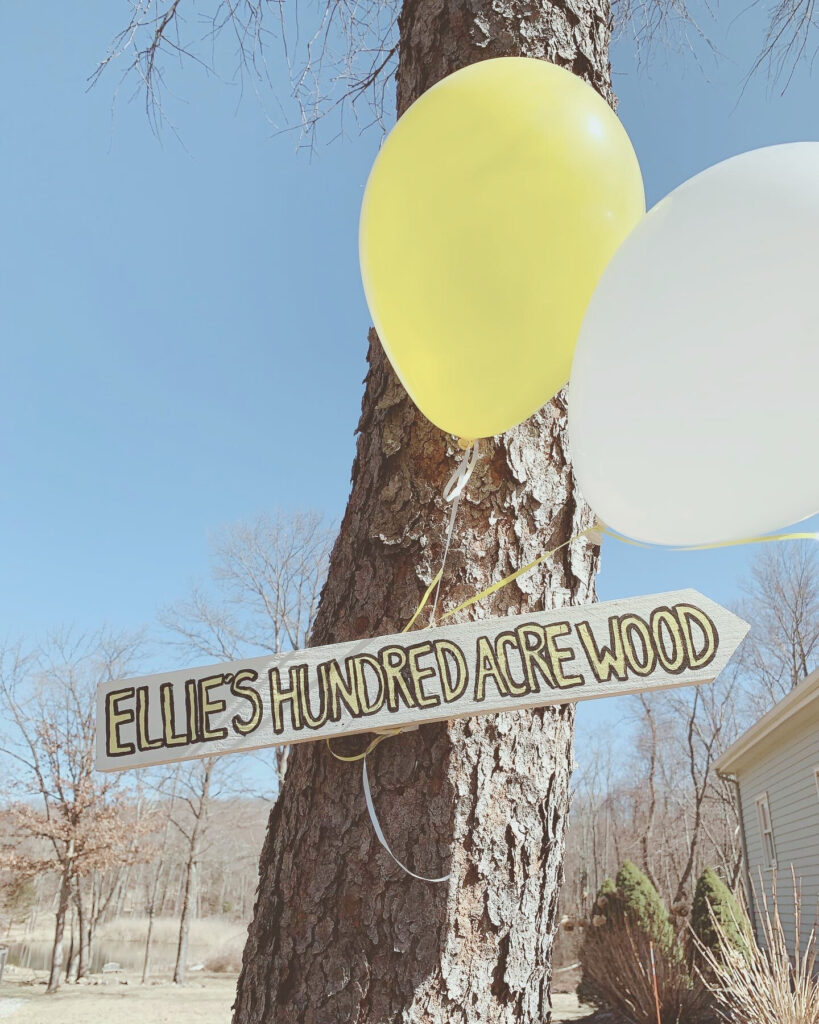 Hundred Acre Wood signage Winnie the Pooh party