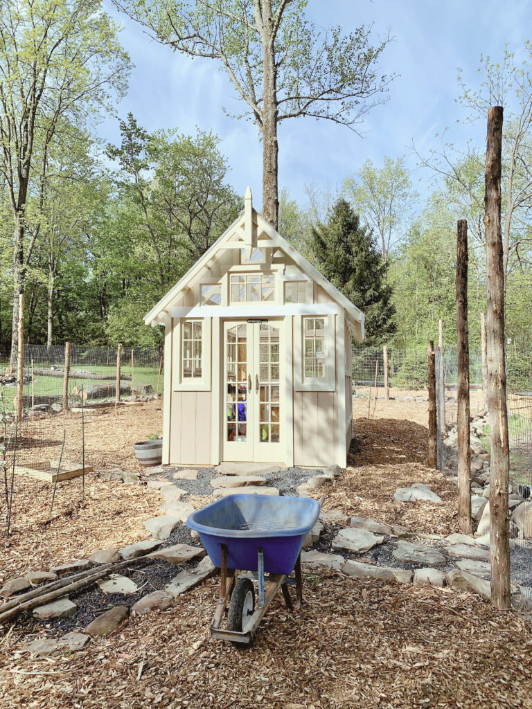 wheelbarrow in front of greenhouse