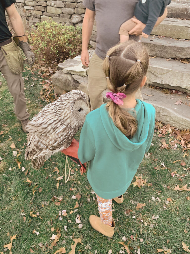 Little girl holding owl