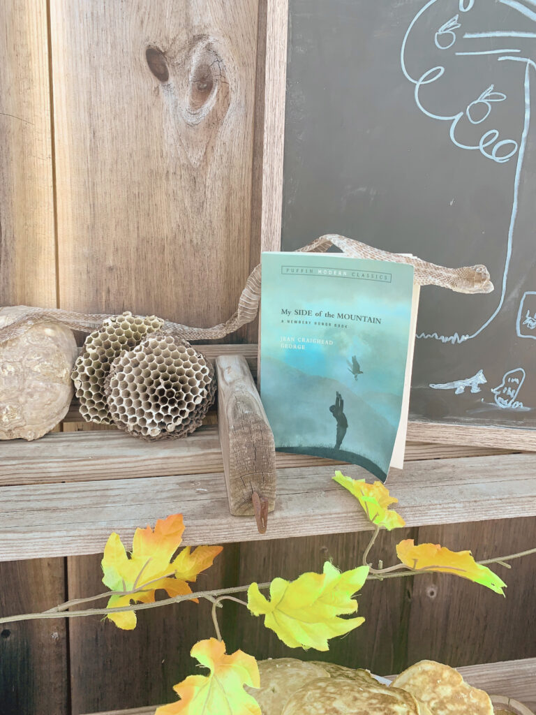 My Side of the Mountain book featured on table with snakeskin and natural honeycomb