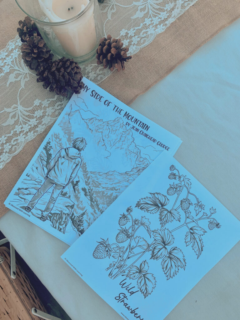 My Side of the Mountain coloring pages on table with pinecones and candle